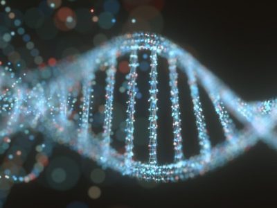 Seks, İlaçlar ve Genler: Ahlaki Tutumlar Genetik Bir Kök Paylaşır